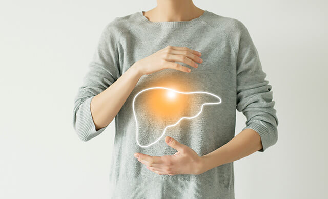 肝臓のイラストを手に持っている男性